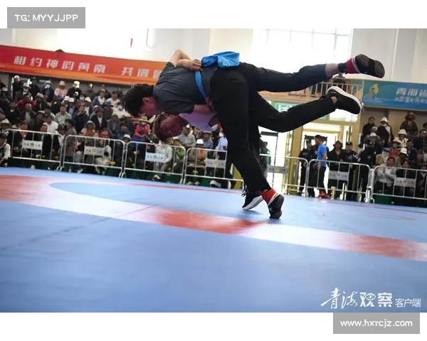 青海综合格斗赛事—青海省拳击锦标赛